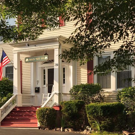 Beech Tree Inn And Cottage ニューポート エクステリア 写真